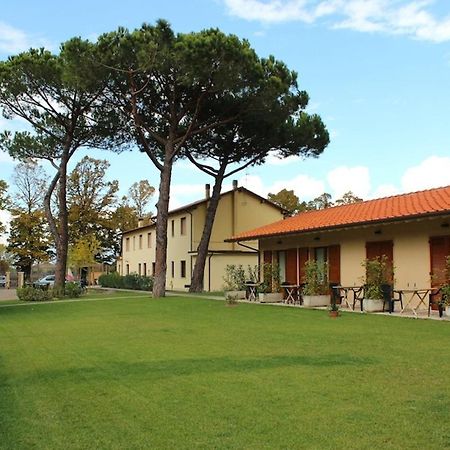Villa Rosy Torre del Lago Puccini Eksteriør billede